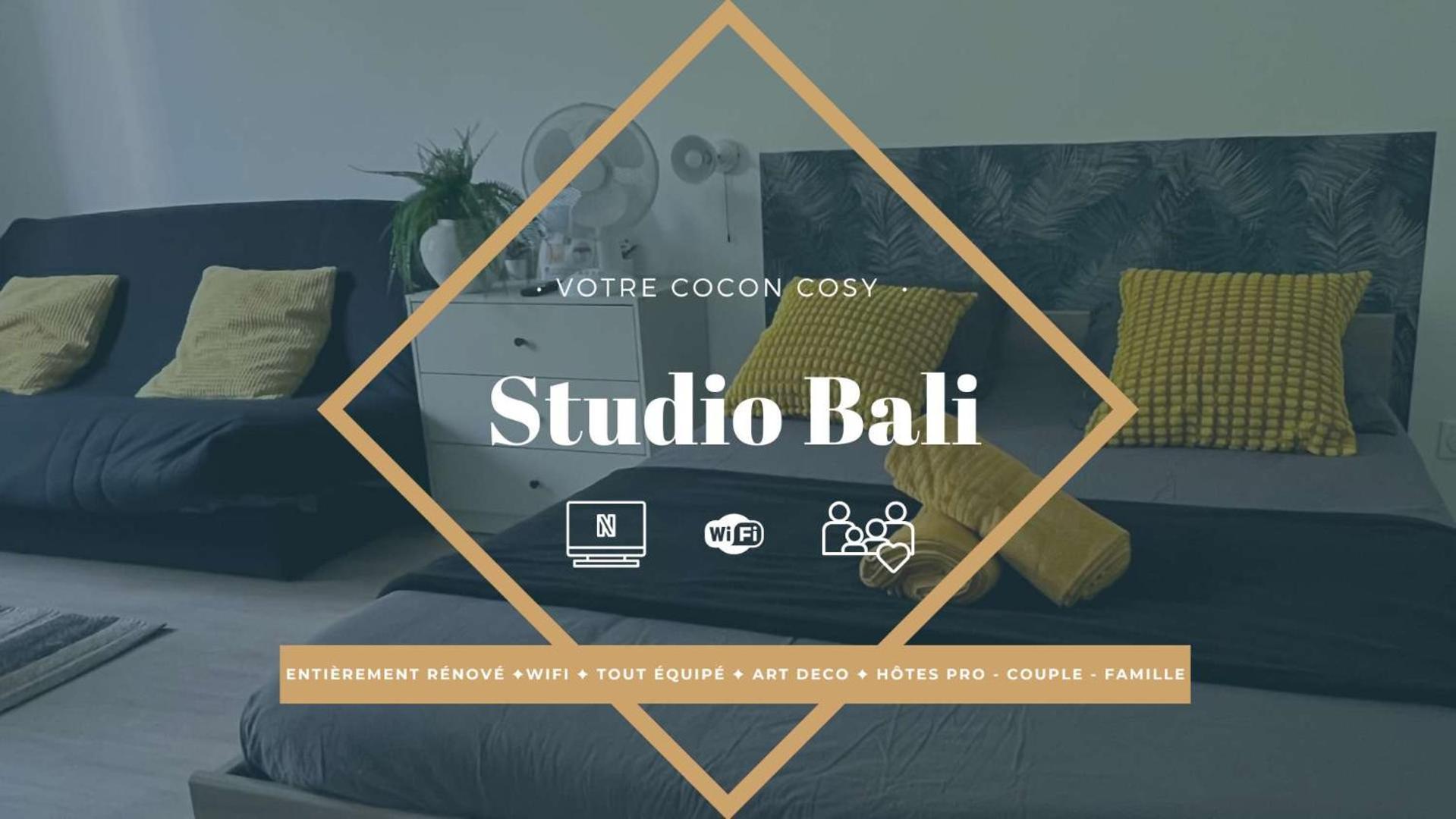 Studios Cozy Proche Gare Tgv Chatellerault Bagian luar foto